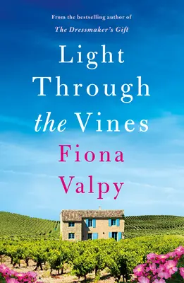 Svetlo cez vinič - Light Through the Vines