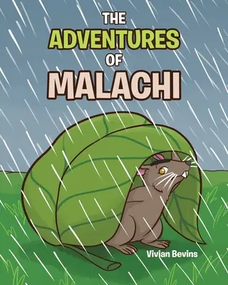 Malachiášove dobrodružstvá - The Adventures of Malachi