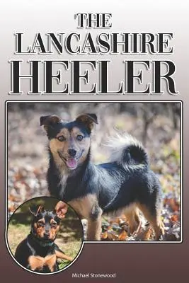 The Lancashire Heeler: A Complete and Comprehensive Owners Guide to: Kúpa, vlastníctvo, zdravie, starostlivosť, výcvik, poslušnosť, porozumenie a - The Lancashire Heeler: A Complete and Comprehensive Owners Guide to: Buying, Owning, Health, Grooming, Training, Obedience, Understanding and