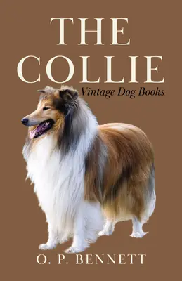 Kólia - The Collie