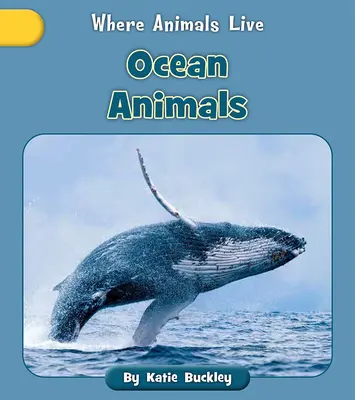 Zvieratá oceánov - Ocean Animals