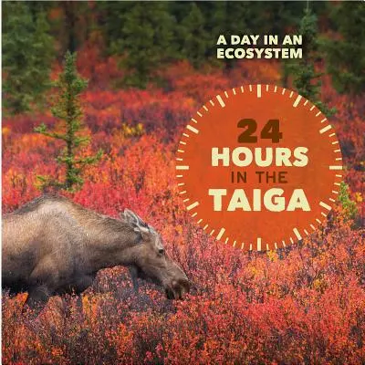 24 hodín v tajge - 24 Hours in the Taiga