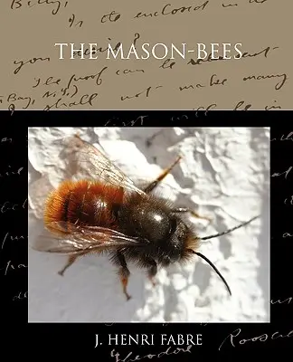 Mason-bees - The Mason-bees