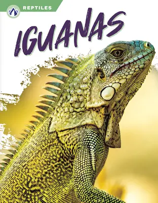 Leguány - Iguanas