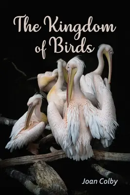 Kráľovstvo vtákov - The Kingdom of Birds
