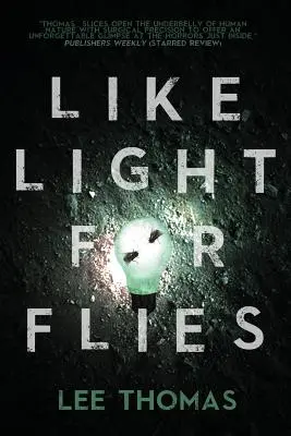 Ako svetlo pre muchy: Príbehy - Like Light for Flies: Stories