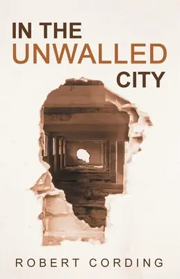 V neohradenom meste - In the Unwalled City