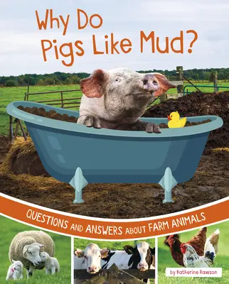 Prečo majú ošípané rady blato?: Otázky a odpovede o hospodárskych zvieratách - Why Do Pigs Like Mud?: Questions and Answers about Farm Animals