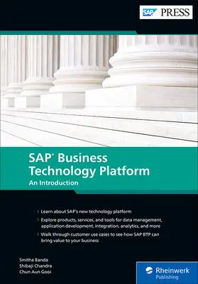 Podniková technologická platforma SAP: Úvod do problematiky - SAP Business Technology Platform: An Introduction
