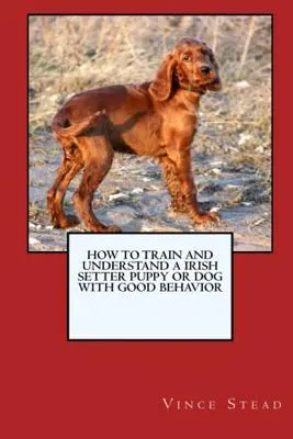 Ako vycvičiť a vychovať šteňa alebo psa írskeho setra s dobrým správaním - How to Train and Raise a Irish Setter Puppy or Dog with Good Behavior
