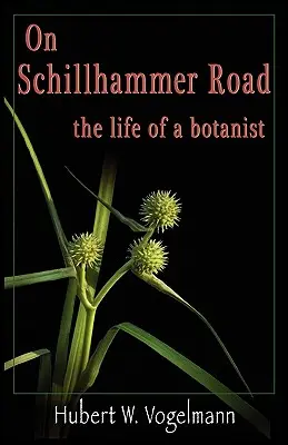 Na Schillhammerovej ceste - On Schillhammer Road