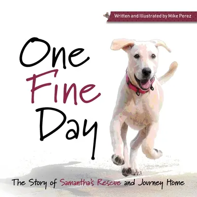 Jeden krásny deň - One Fine Day