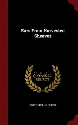 Klasy zo zberaných snopov - Ears From Harvested Sheaves