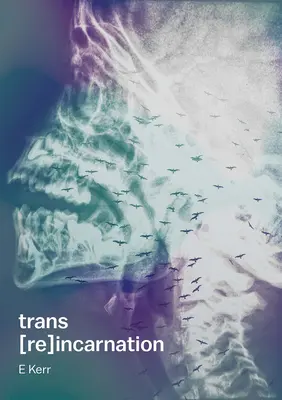 Trans [Re]inkarnácia - Trans [Re]incarnation