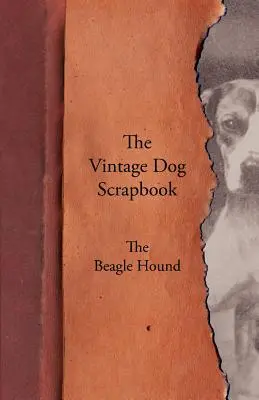 Historický album o psoch - bígl - The Vintage Dog Scrapbook - The Beagle Hound