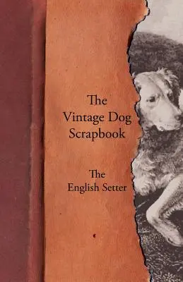 Historický album o psoch - Anglický seter - The Vintage Dog Scrapbook - The English Setter