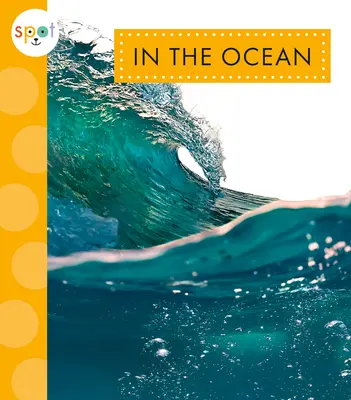 V oceáne - In the Ocean