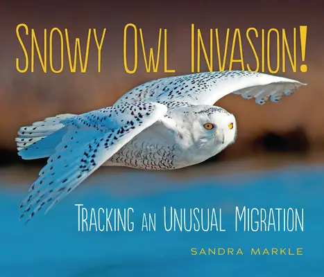 Invázia sovy snežnej! Sledovanie nezvyčajnej migrácie - Snowy Owl Invasion!: Tracking an Unusual Migration