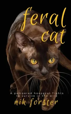 Divoká mačka - Feral Cat