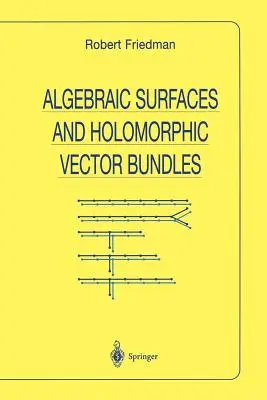Algebraické plochy a holomorfné vektorové zväzky - Algebraic Surfaces and Holomorphic Vector Bundles