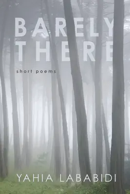 Sotva tam - Barely There