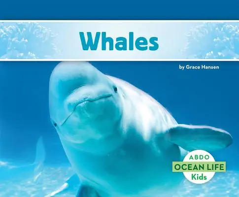 Veľryby - Whales