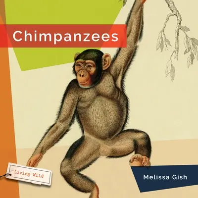 Šimpanzy - Chimpanzees