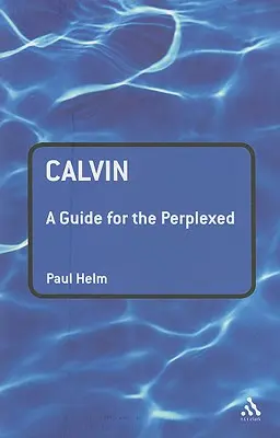 Calvin: Príručka pre zmätených - Calvin: A Guide for the Perplexed