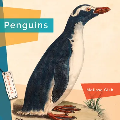 Tučniaky - Penguins