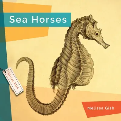 Morské koníky - Seahorses