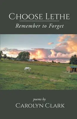 Vyberte si Lethe: Nezabudnite zabudnúť - Choose Lethe: Remember to Forget