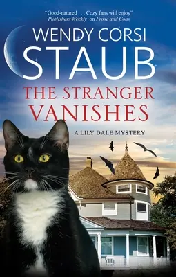 Cudzinec zmizne - The Stranger Vanishes