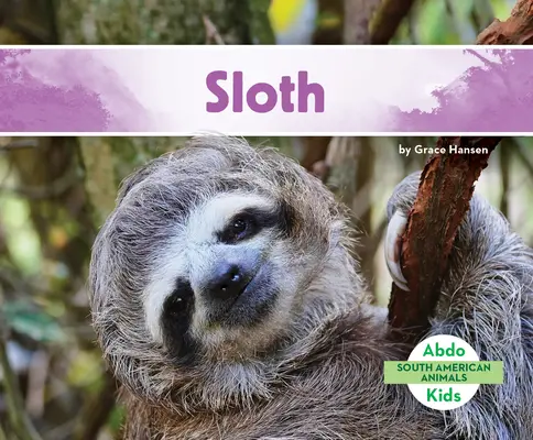 Lenivosť - Sloth