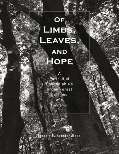 O konároch, listoch a nádeji: Portrét filadelfských mestských lesov v čase pandémie - Of Limbs, Leaves, and Hope: A Portrait of Philadelphia's Urban Forest in Times of a Pandemic