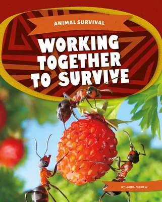 Spolupráca na prežití - Working Together to Survive