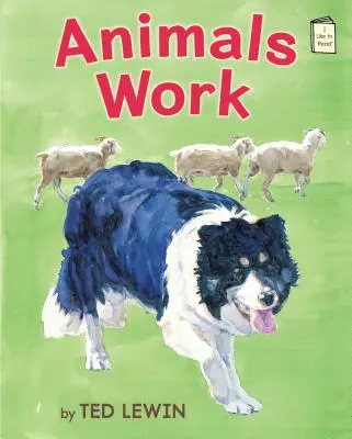 Zvieratá pracujú - Animals Work