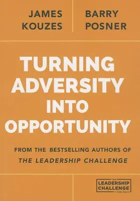 Premena nepriazne na príležitosť - Turning Adversity Into Opportunity