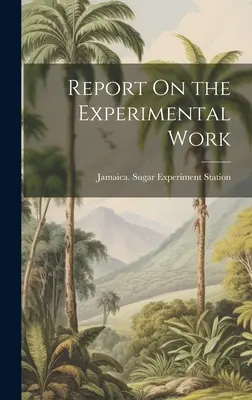 Správa o experimentálnej práci - Report On the Experimental Work
