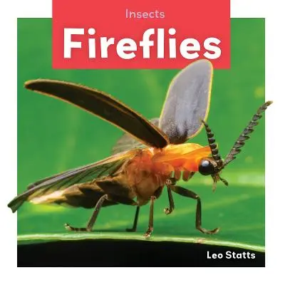 Svetlušky - Fireflies