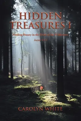 Skryté poklady I: Hľadanie krásy v skúškach púšte - Hidden Treasures I: Finding Beauty in the Trials of the Wilderness