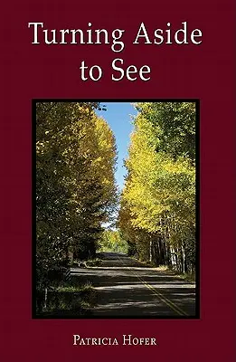 Odvrátenie sa, aby sme videli - Turning Aside to See