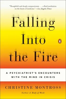 Pád do ohňa: Stretnutia psychiatra s mysľou v kríze - Falling Into the Fire: A Psychiatrist's Encounters with the Mind in Crisis