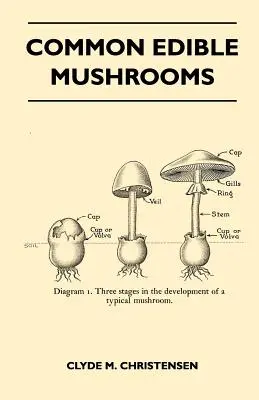 Bežné jedlé huby - Common Edible Mushrooms