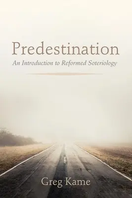 Predurčenie - Predestination