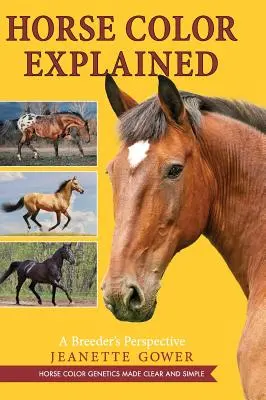 Vysvetlenie farby koní: Pohľad chovateľa - Horse Color Explained: A Breeder's Perspective