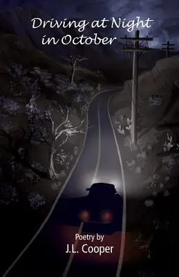 Nočná jazda v októbri - Driving at Night in October