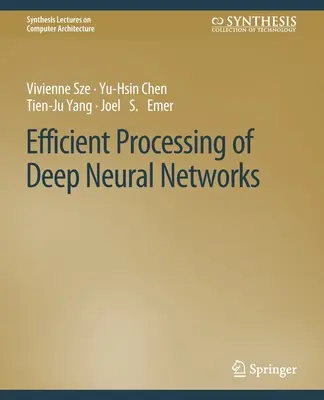 Efektívne spracovanie hlbokých neurónových sietí - Efficient Processing of Deep Neural Networks