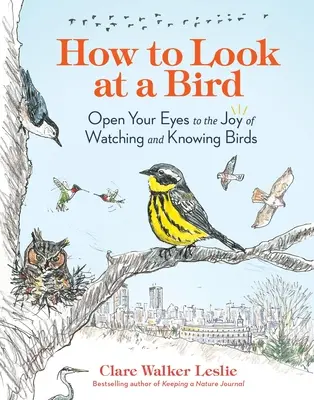Ako sa pozerať na vtáka: Otvorte oči radosti z pozorovania a poznávania vtákov - How to Look at a Bird: Open Your Eyes to the Joy of Watching and Knowing Birds