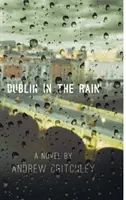 Dublin v daždi - Dublin in the Rain