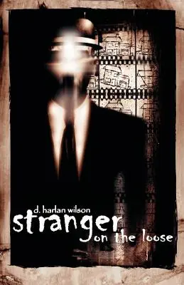 Cudzinec na úteku - Stranger on the Loose